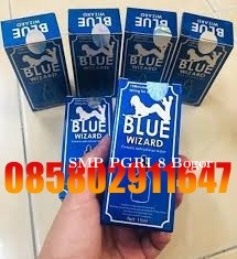 Jual Blue Wizard Asli Di Sumatera 085802911647 alamat Obat Perangsang Wanita COD